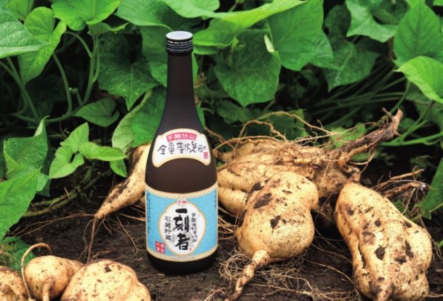 전량 고구마 소주 잇코몬 25도<br><small>全量芋焼酎 一刻者 25度 </small>