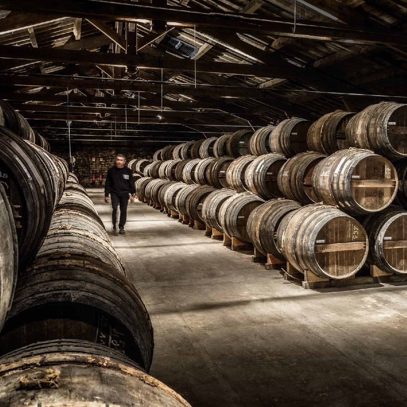 Sale10%] 레미마틴 XO 700ml<br><small>レミーマルタン XO 700ml</small>